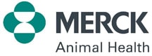 client image