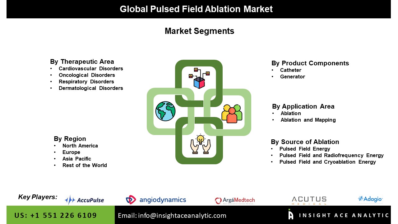 Pulsed Field Ablation Market Seg