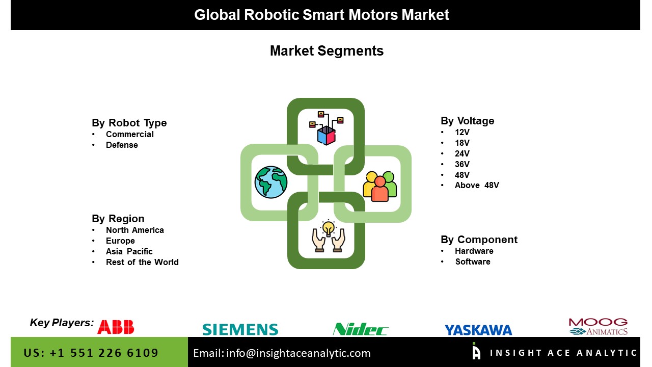 Robotic Smart Motors Market Seg