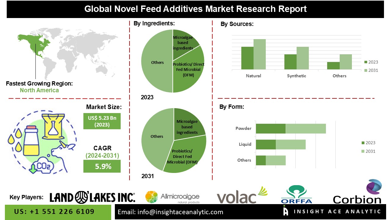 Novel Feed Additives Market 