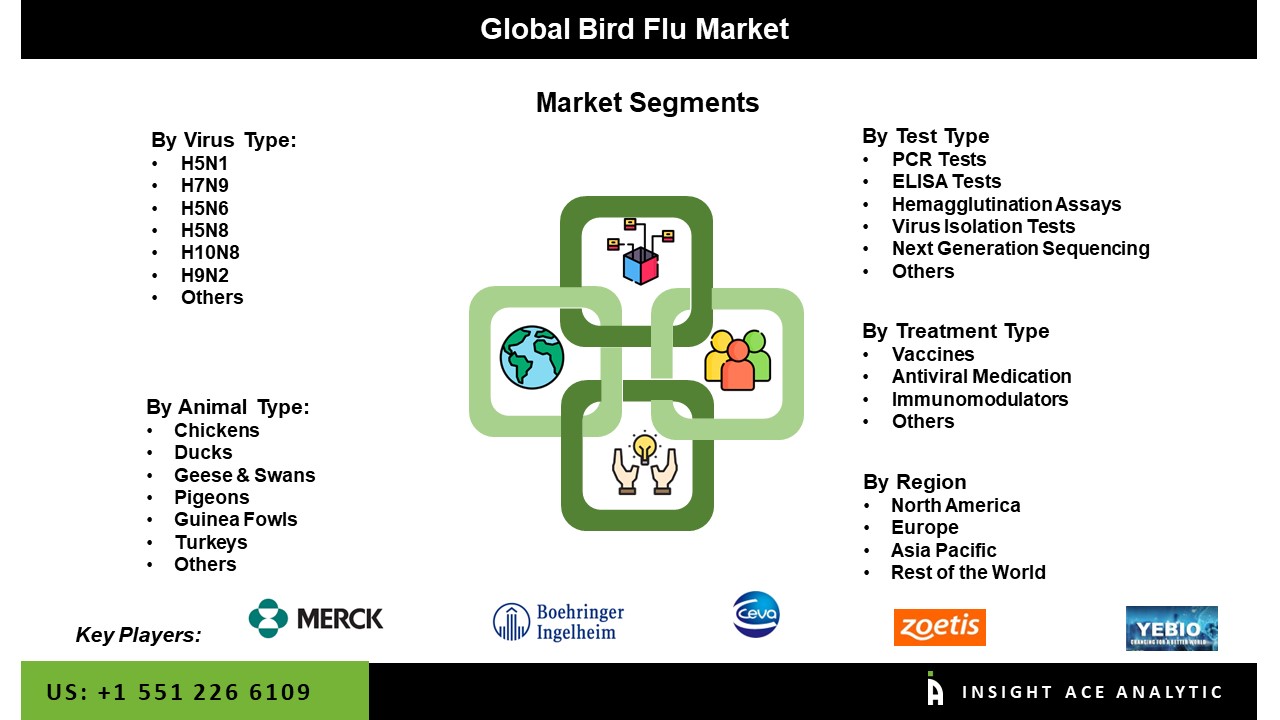 Bird Flu Market seg
