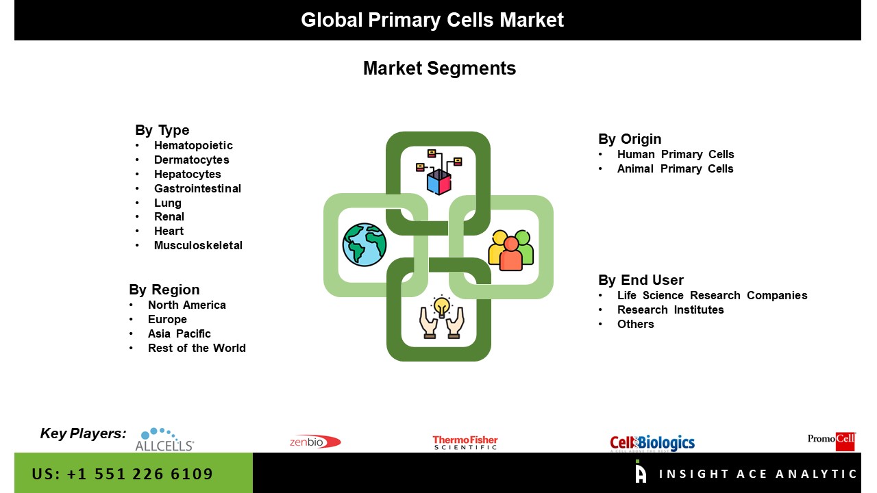 Primary Cells Market Seg