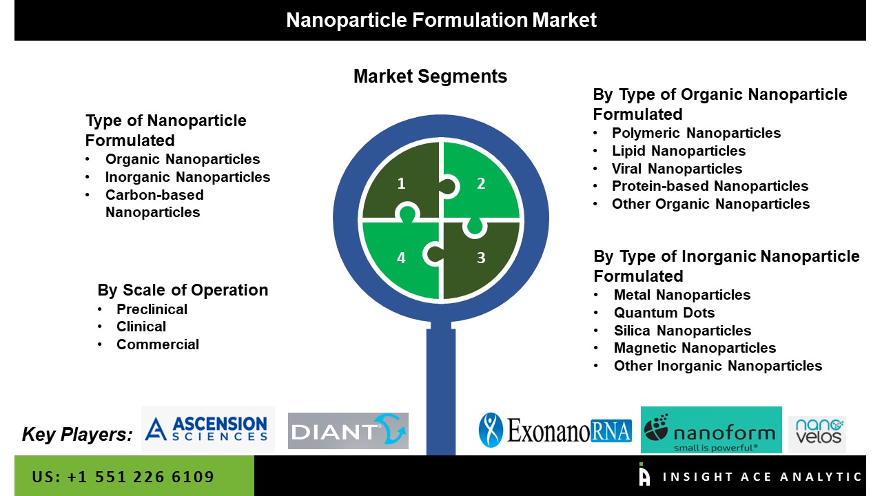 Nanoparticle Formulation Market