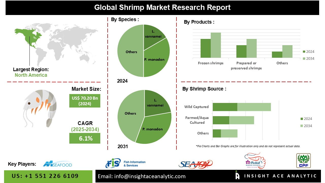 Shrimp Market info