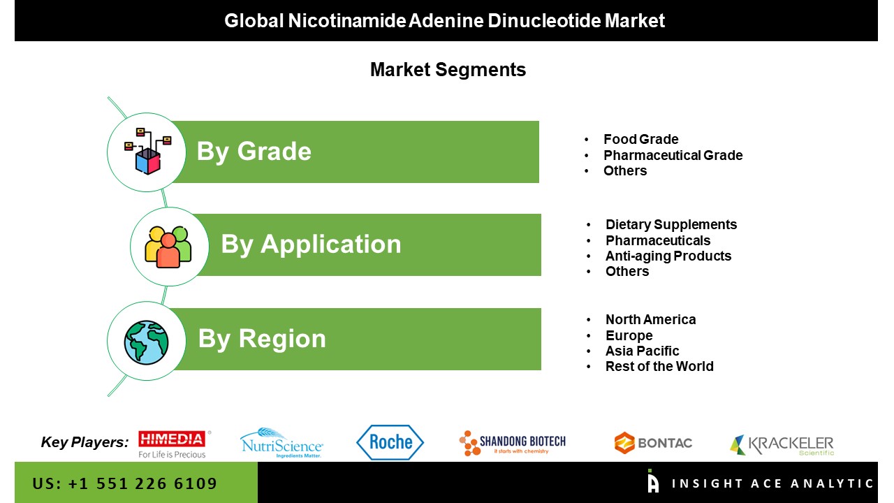 Nicotinamide Adenine Dinucleotide Market