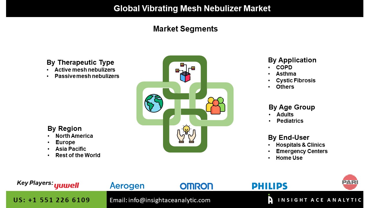Vibrating Mesh Nebulizer Market Seg