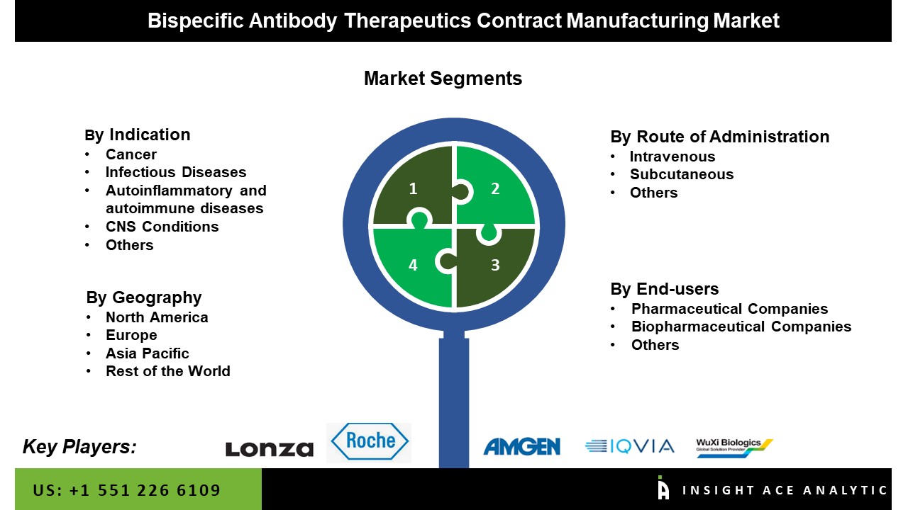Bispecific Antibody Therapeutics Contract Manufacturing Market 