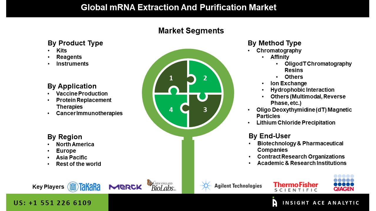 mRNA Extraction and Purification Market 