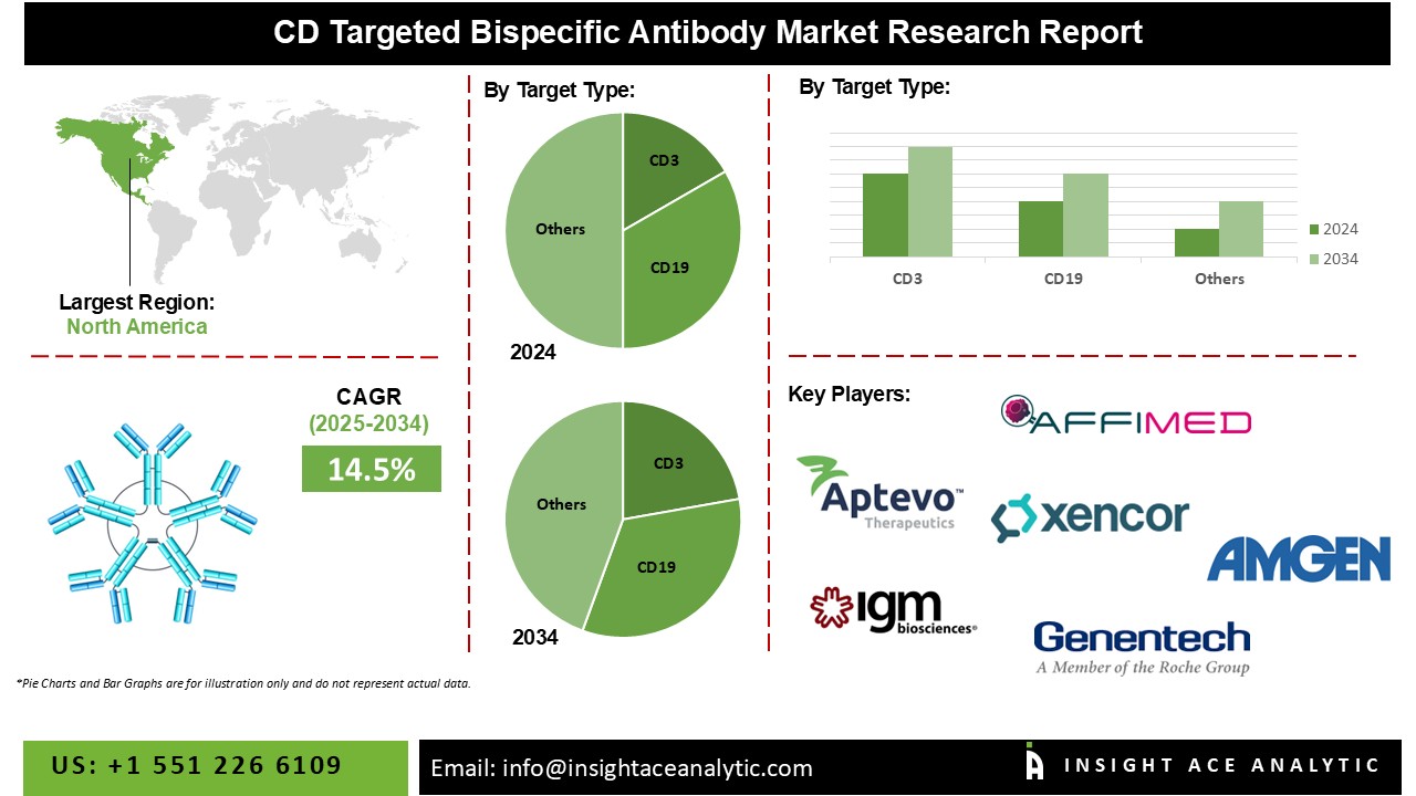 CD Targeted Bispecific Antibody Market info