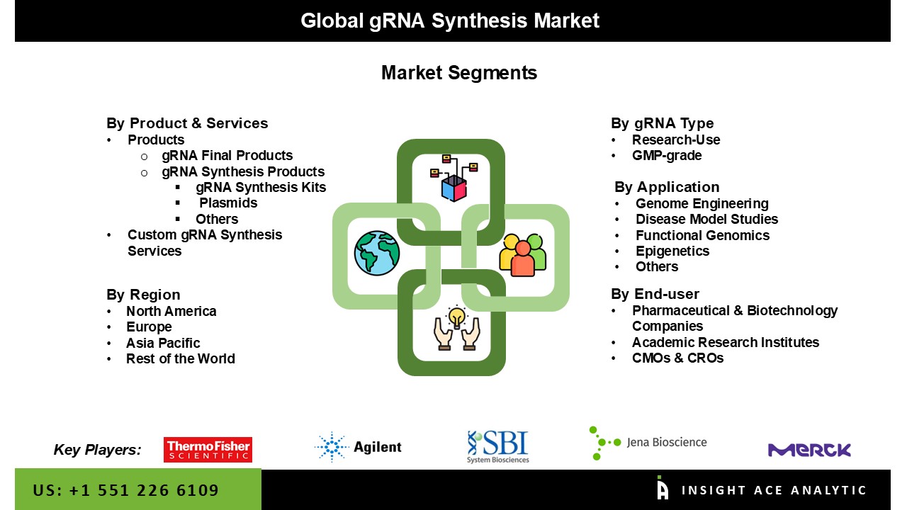 gRNA Synthesis Market seg