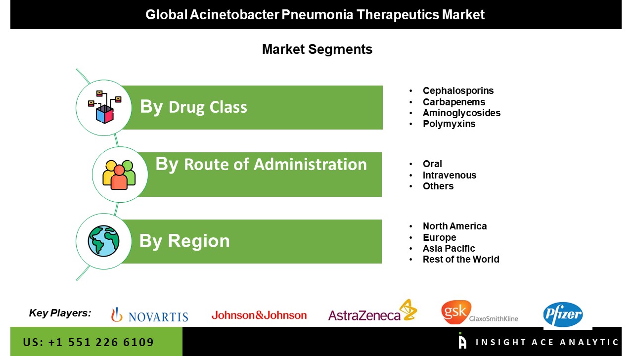 Acinetobacter Pneumonia Therapeutics Market Seg