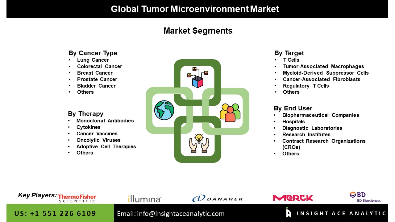 Tumor Microenvironment Market Seg
