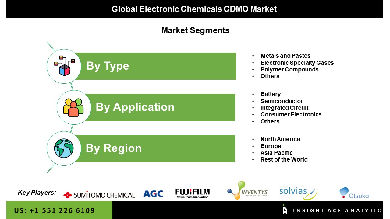 Electronic Chemicals CDMO Market Seg