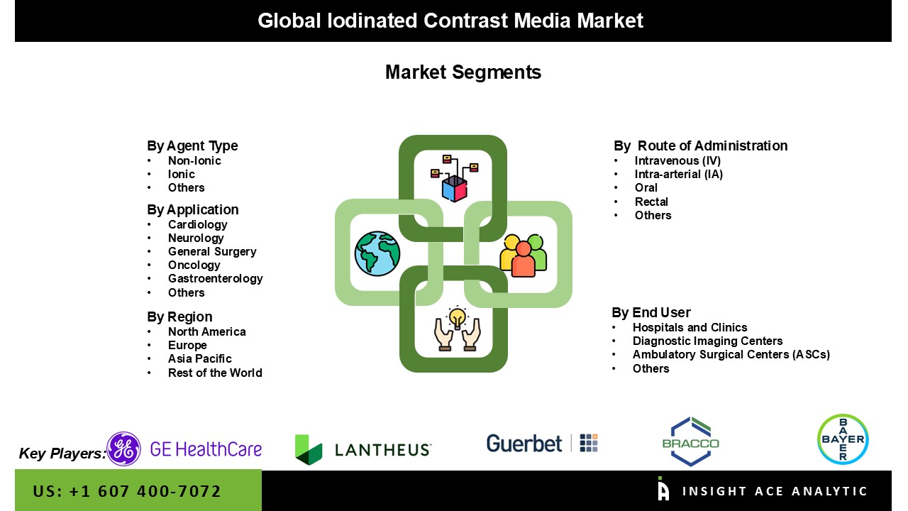 Iodinated Contrast Media Market seg