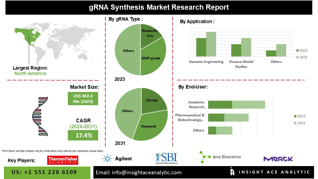 gRNA Synthesis Market info