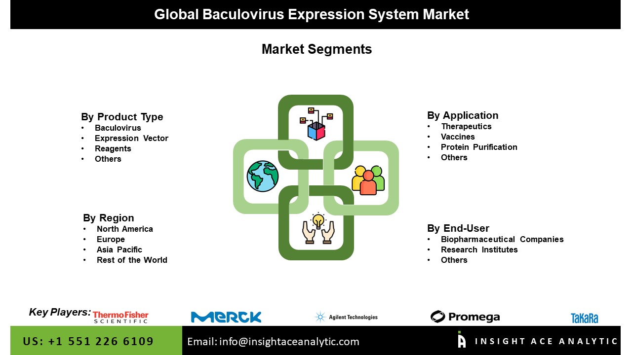 Baculovirus Expression System 