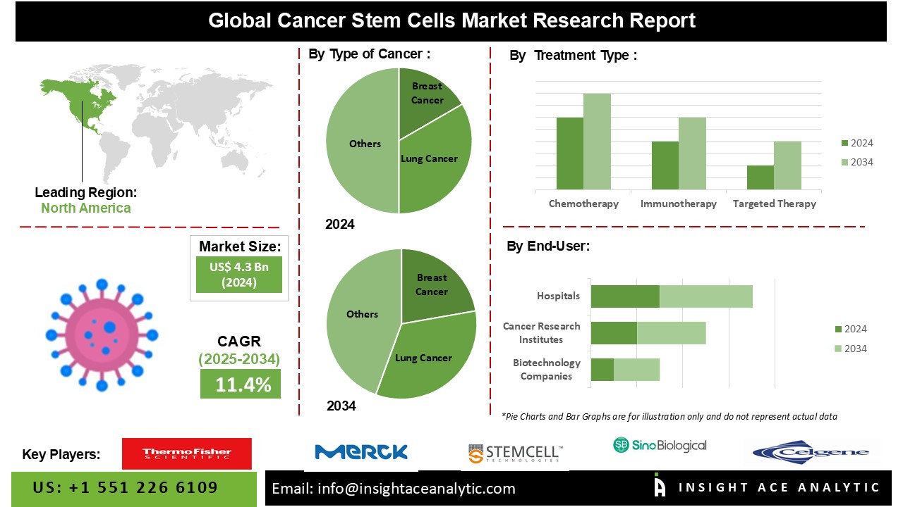 Cancer Stem Cells Market 