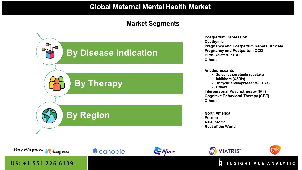Maternal Mental Health Market Seg