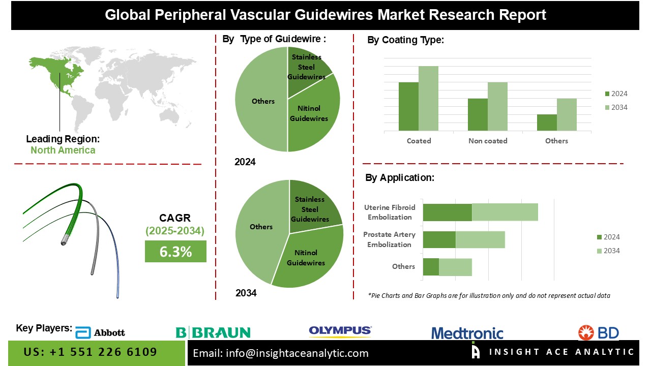 Peripheral Vascular Guidewires Market 