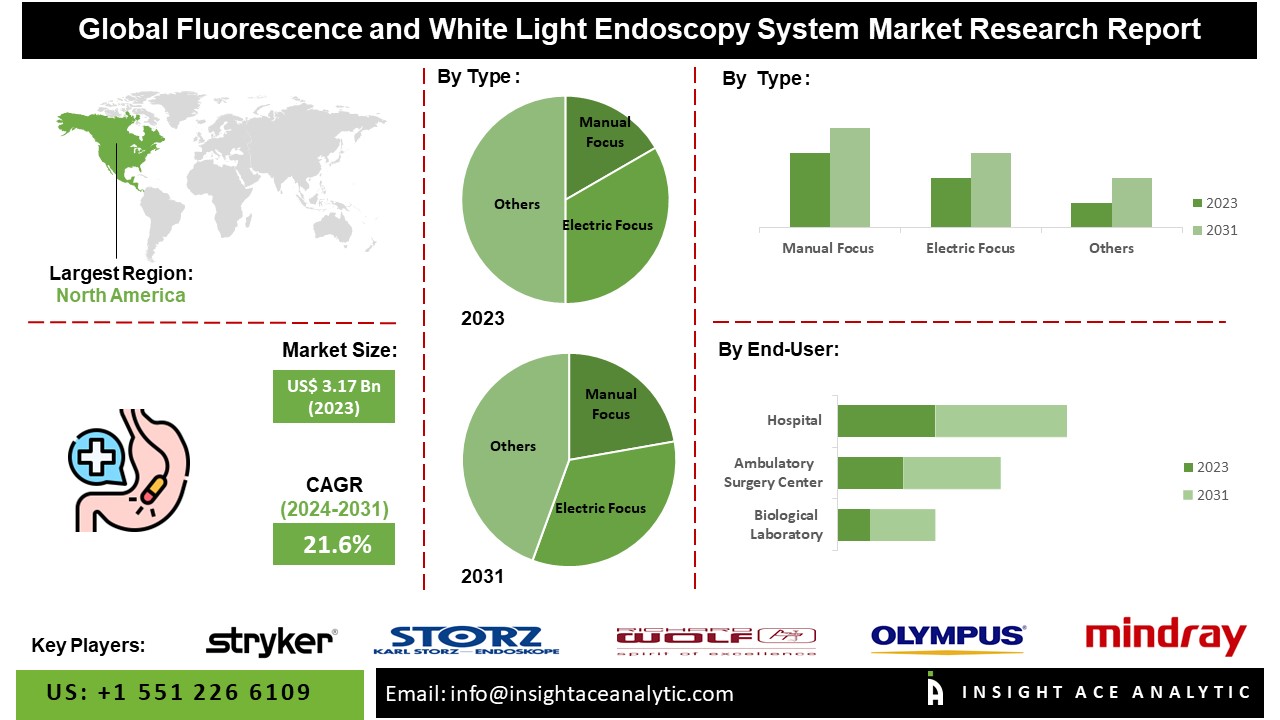 Fluorescence and White Light Endoscopy System Market info