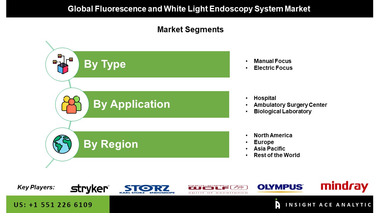 Fluorescence and White Light Endoscopy System Market seg