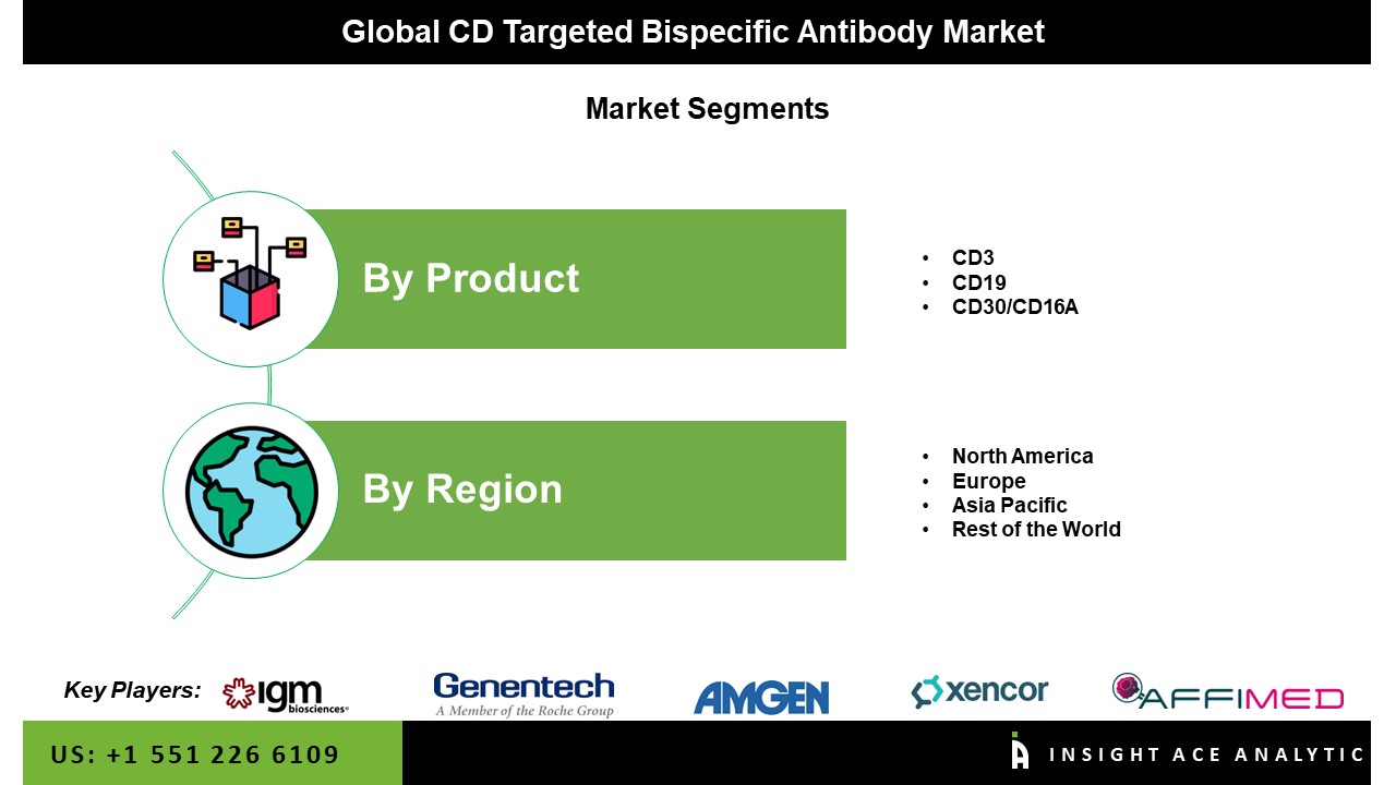  CD Targeted Bispecific Antibody Market