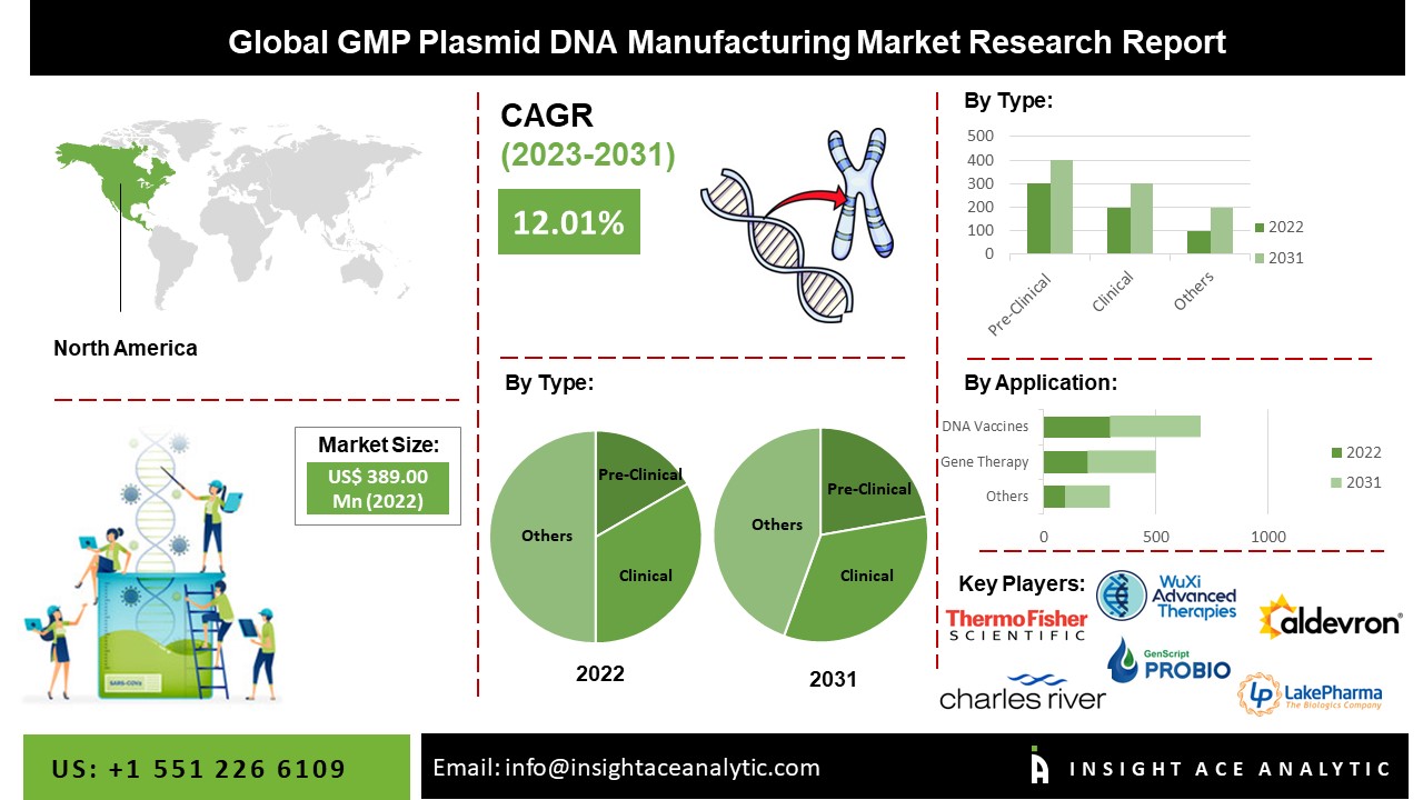 GMP Plasmid DNA Manufacturing Market