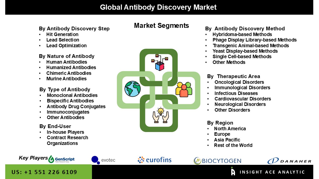 antibody discovery