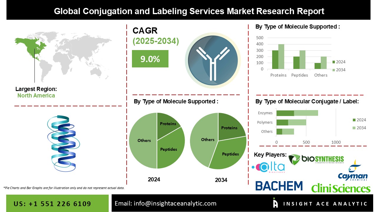 Conjugation and Labeling Services Market info