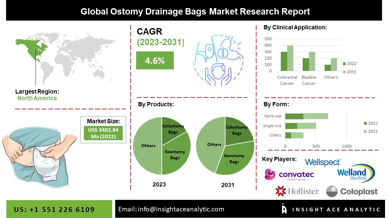 Ostomy Drainage Bags Market Share, Size, Growth and Forecast to 2031