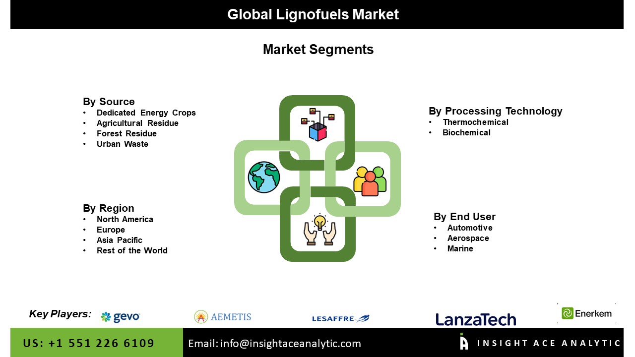 Lignofuels Market Seg