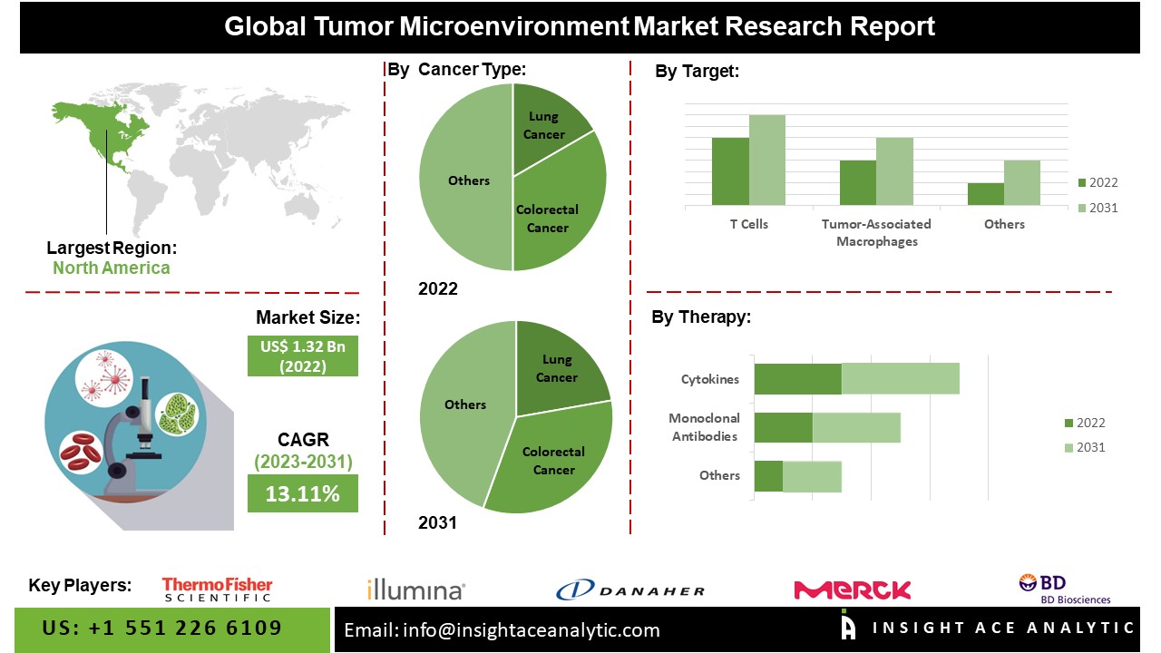 Tumor Microenvironment Market 