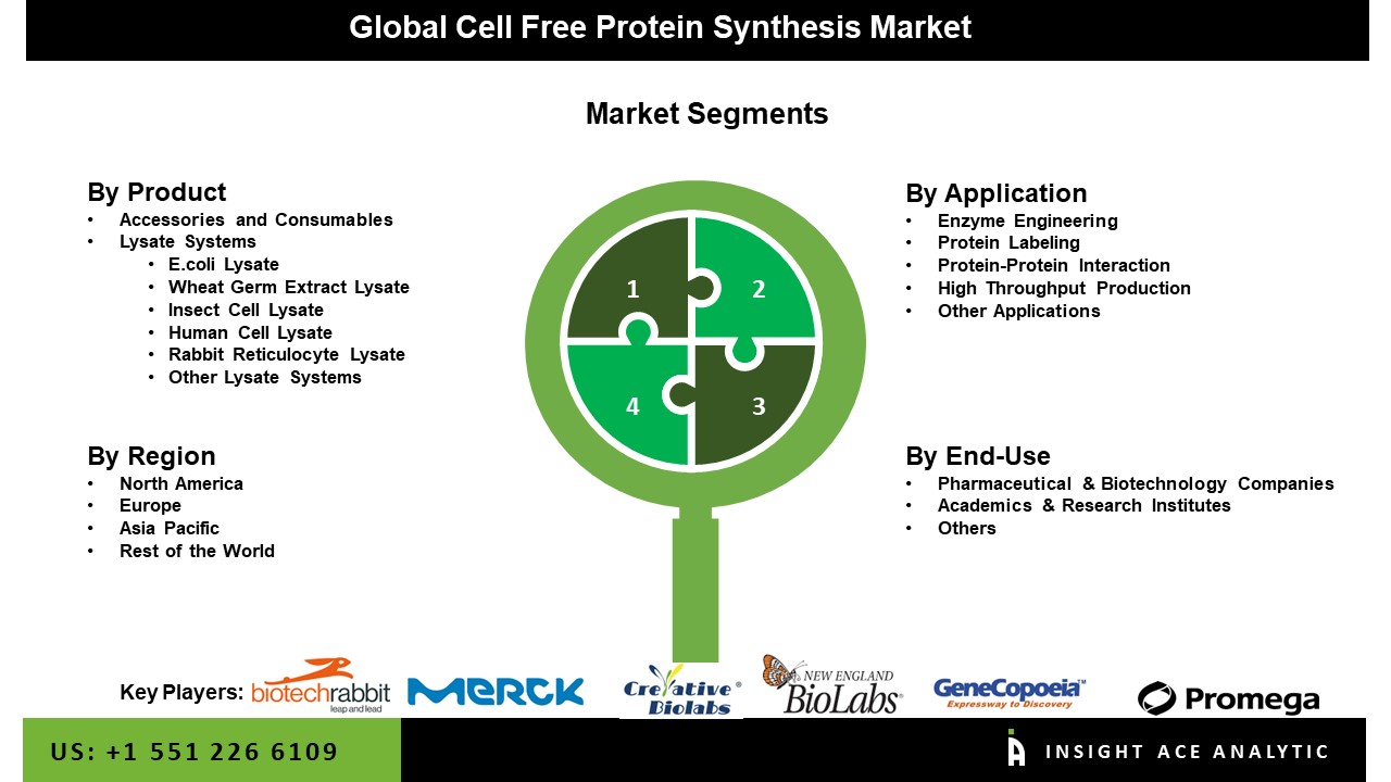 Cell Free Protein Synthesis Market