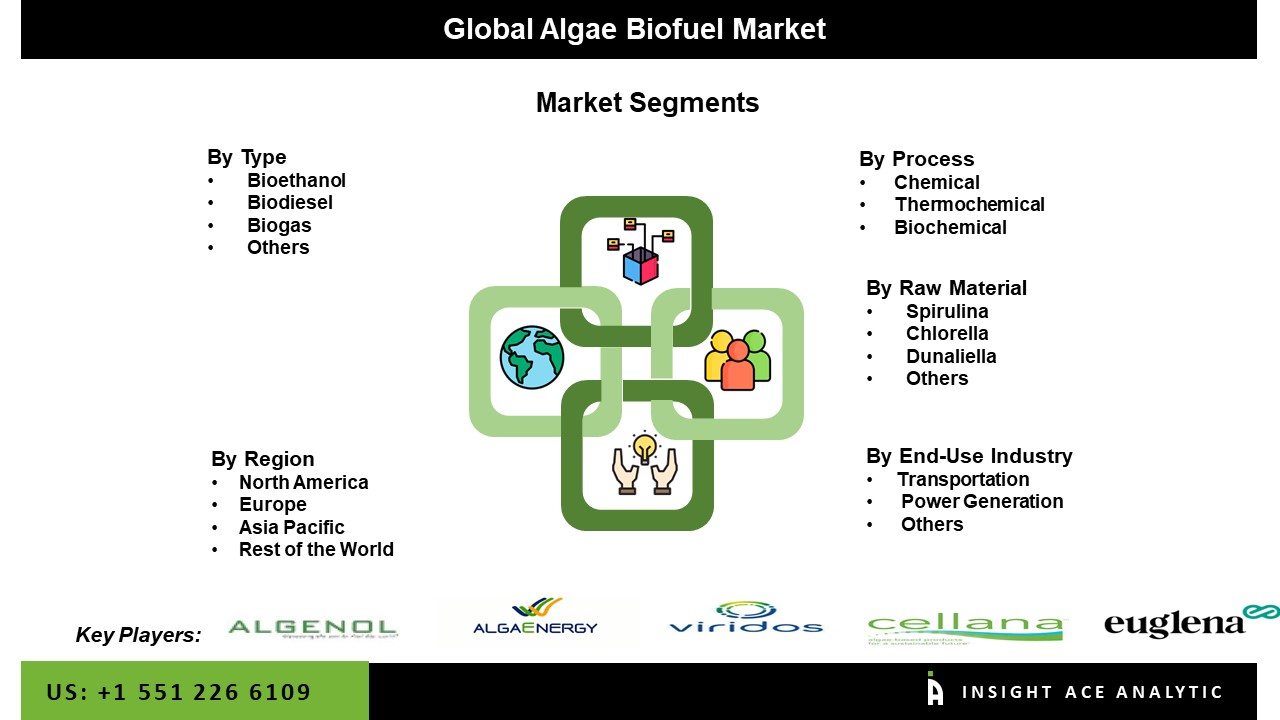 Algae Biofuel Market seg