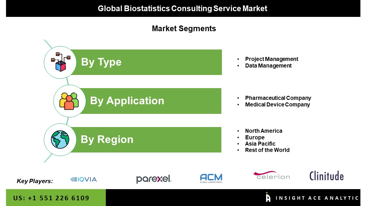 Biostatistics Consulting Service Market Seg