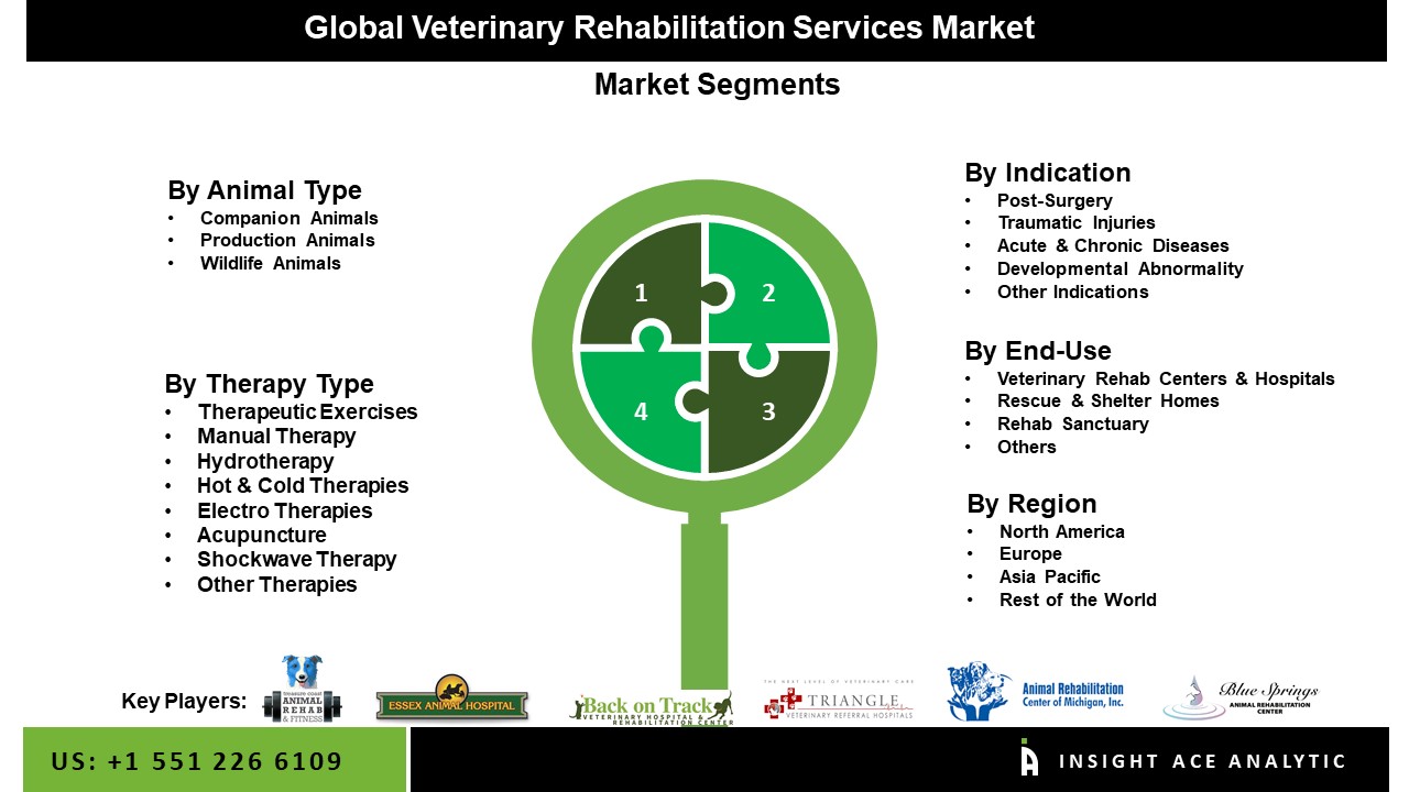 Veterinary Rehabilitation Services Market