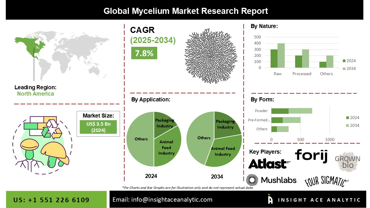 Mycelium Market