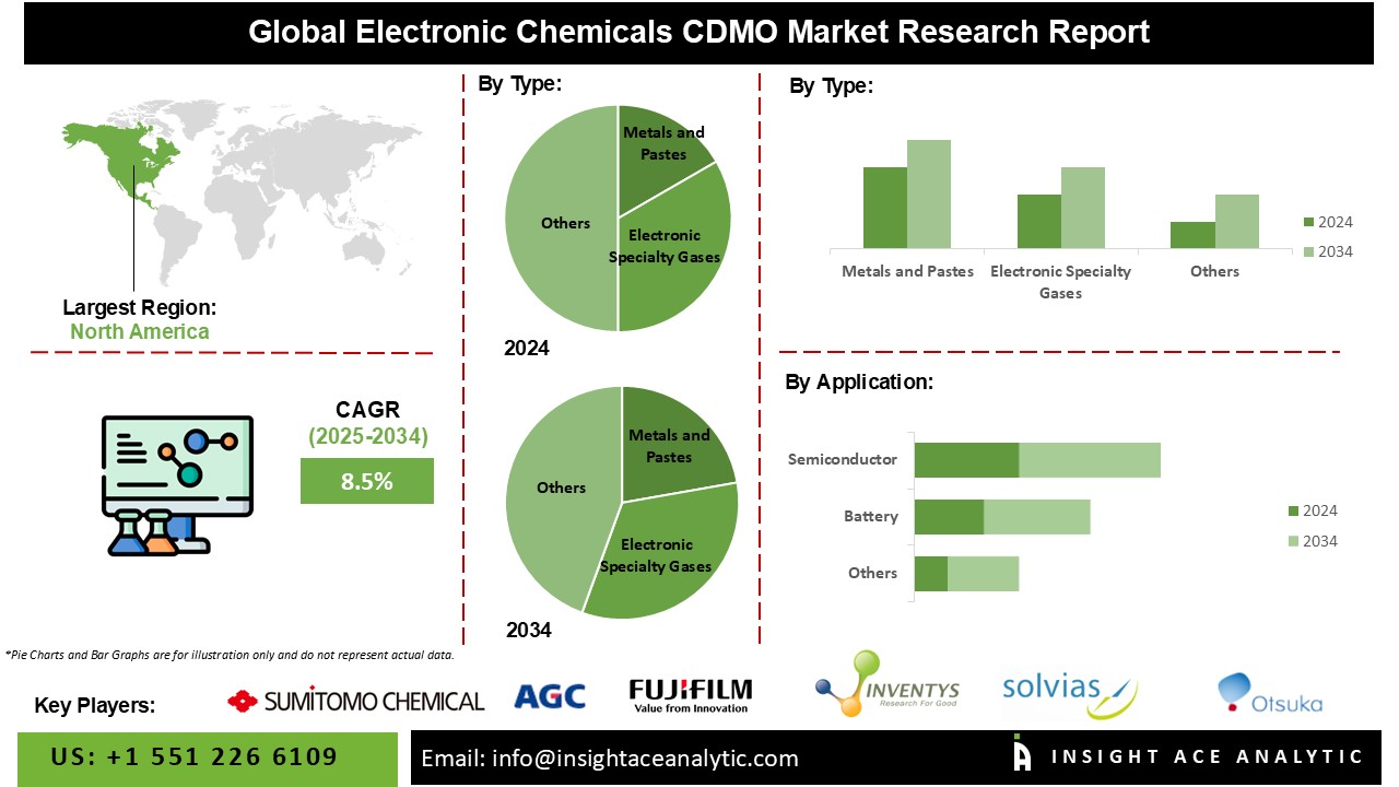 Electronic Chemicals CDMO Market INFO