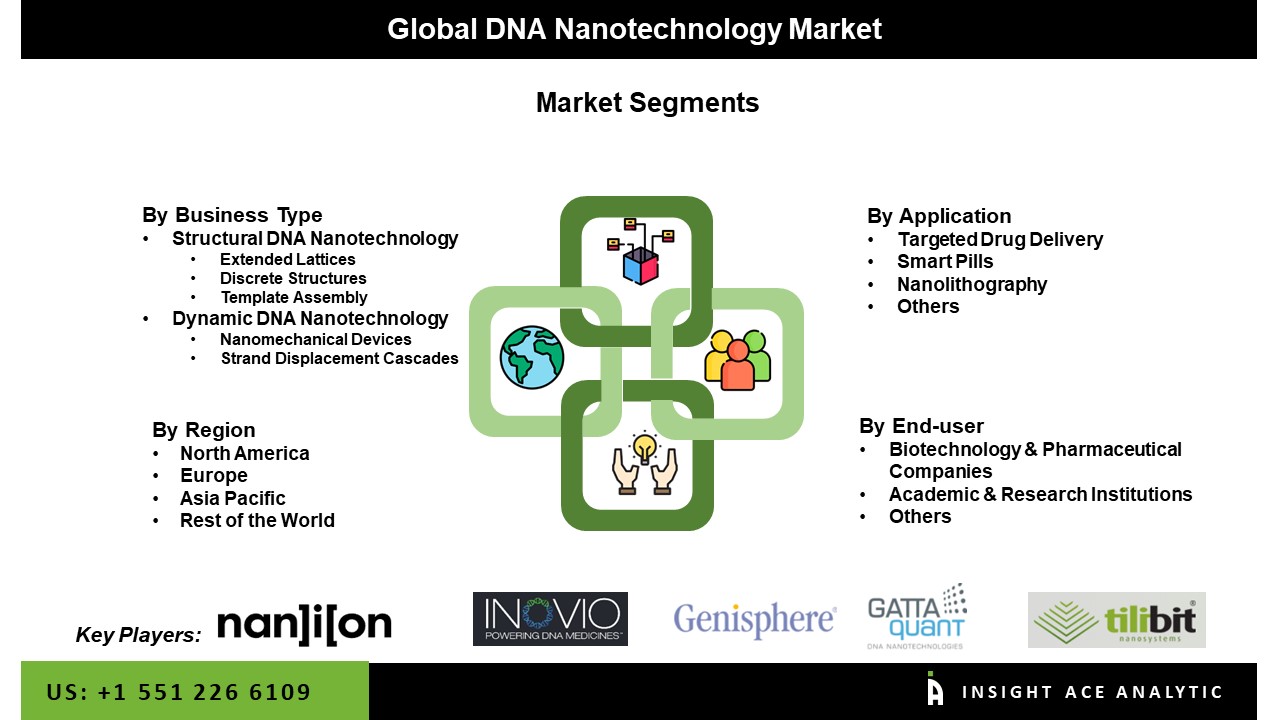 DNA Nanotechnology Market seg
