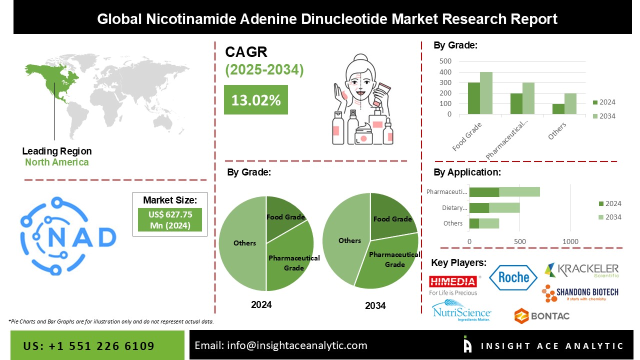 Nicotinamide Adenine Dinucleotide Market info