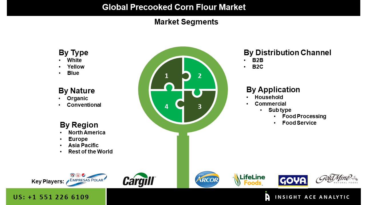 Precooked Corn Flour Market