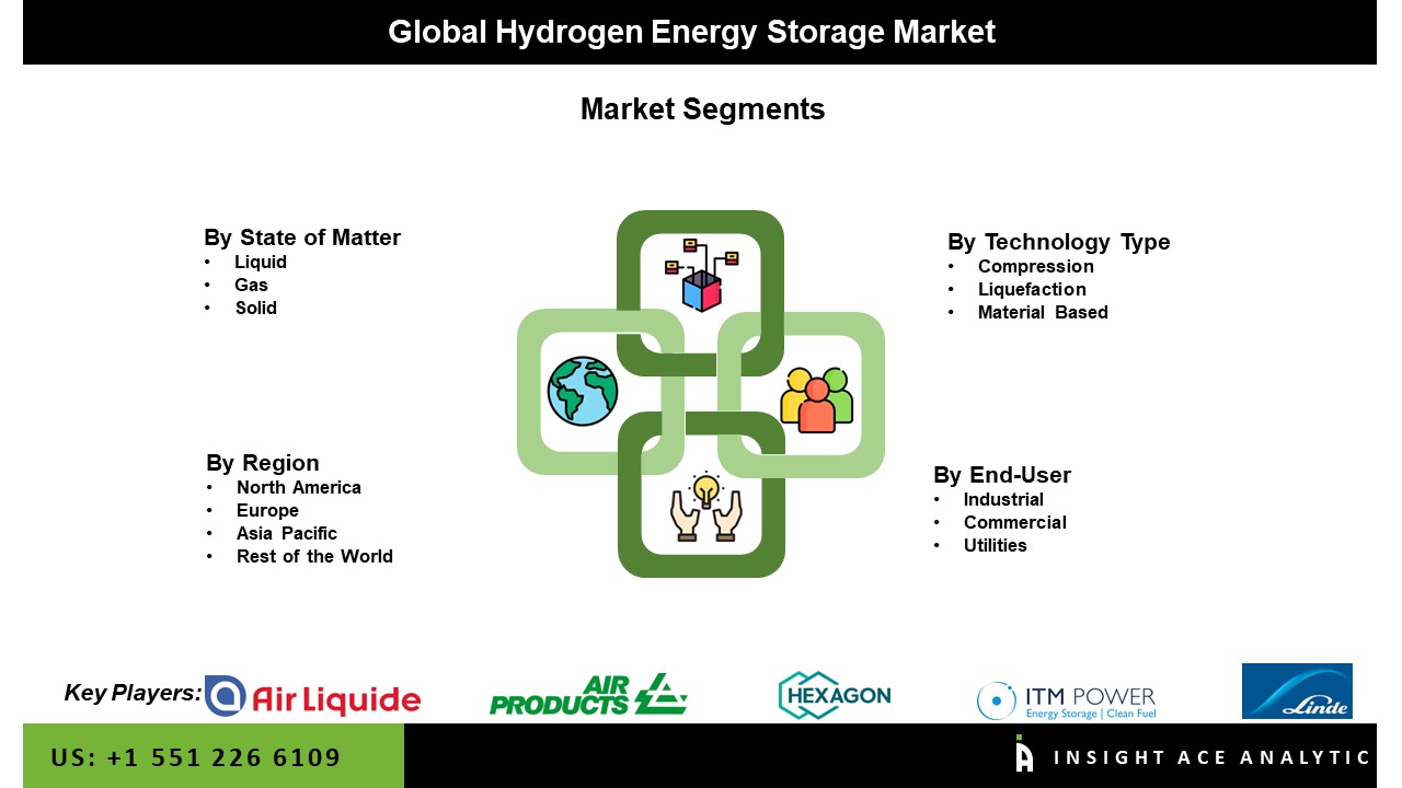 Hydrogen Energy Storage Market Seg