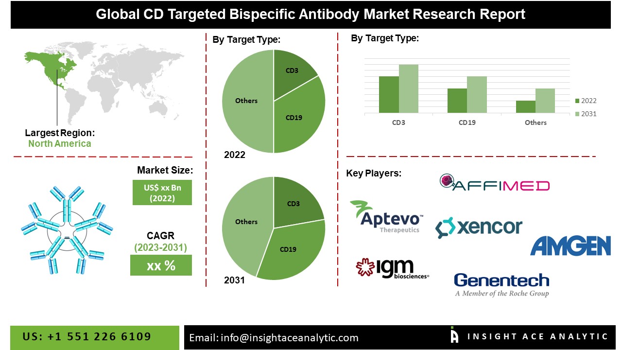 CD Targeted Bispecific Antibody Market