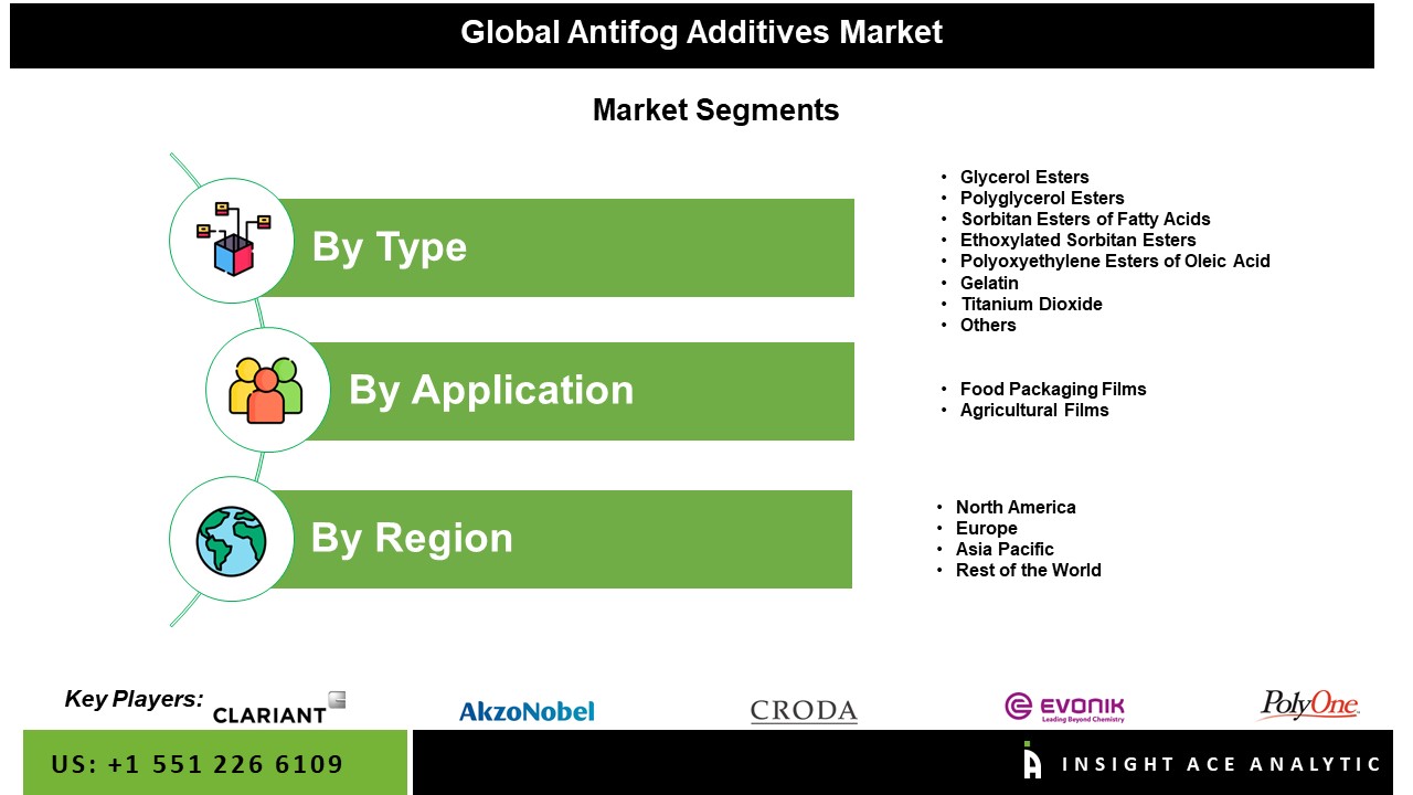 Anti-fog Additives Market Seg