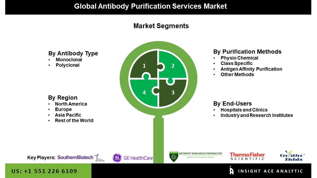Antibody Purification Services Market