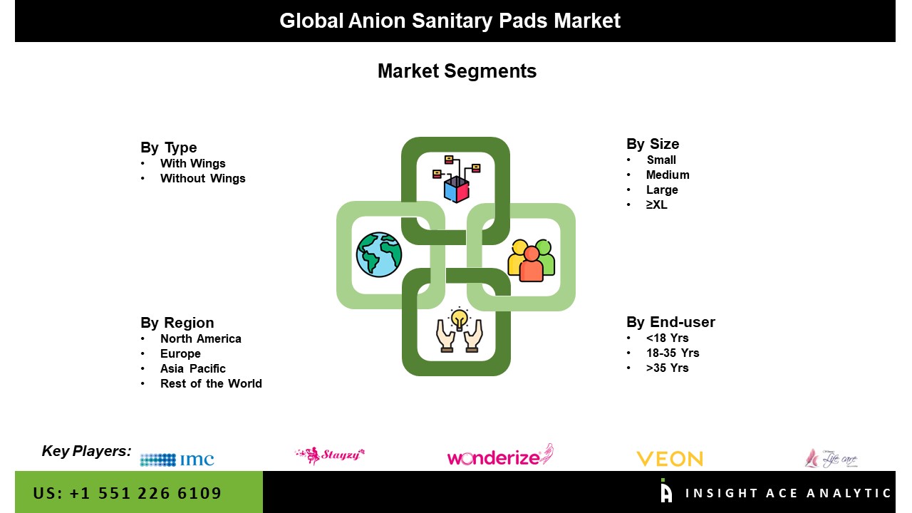 Anion Sanitary Pads Market Seg
