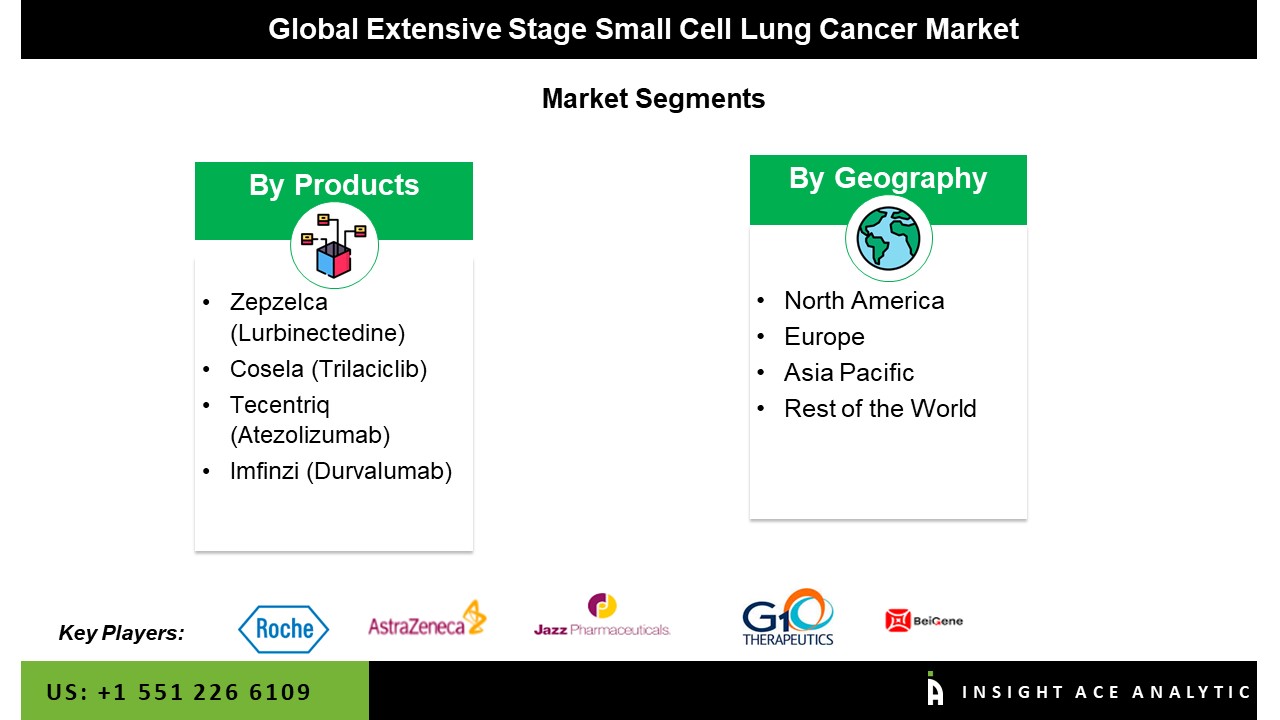 Extensive Stage Small Cell Lung Cancer Market Seg