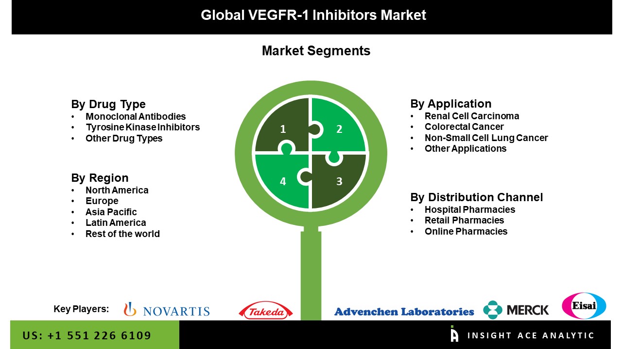 VEGFR-1 Inhibitors Market seg
