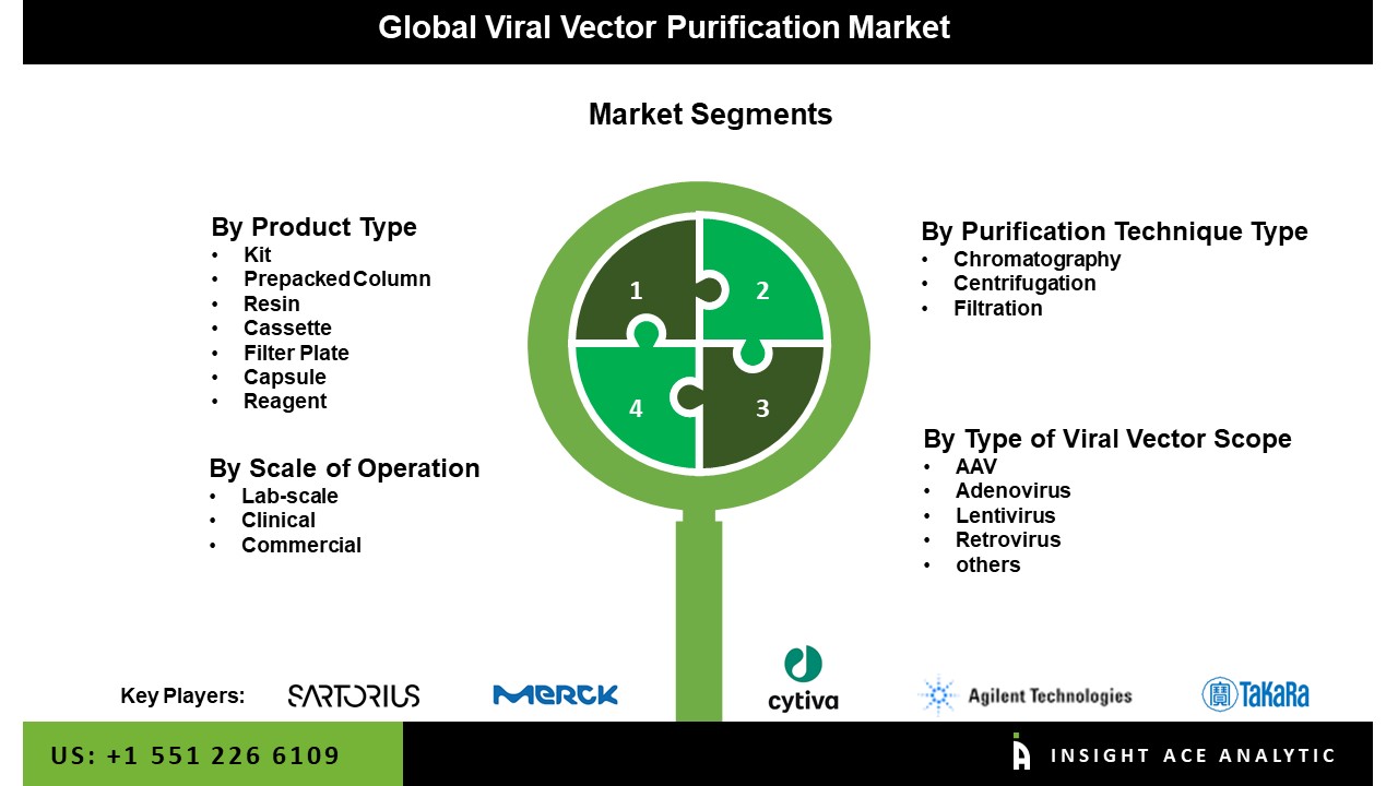 viral vector purification
