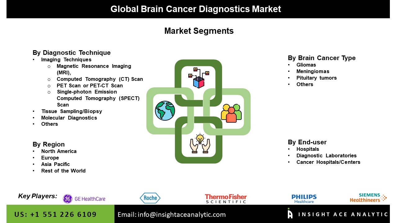 Brain Cancer Diagnostics Market Seg
